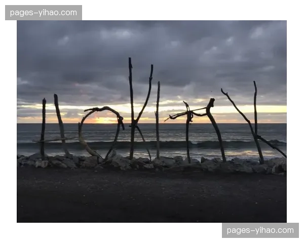 新西兰身体对抗优势明显 海伊注重高空球争夺与第二点控制 新西兰身体对抗优势明显 海伊注重高空球争夺与第二点控制